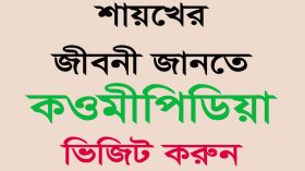 মাওলানা ফয়জুল বারী শায়খে মহিশপুরী রহ এর আধ্যাত্মিক জীবন