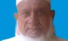 মাওলানা আব্দুল জলিল ভাদেশ্বরী